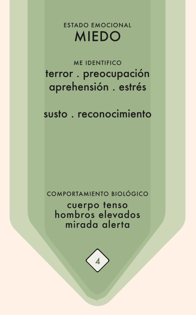 Carta 4